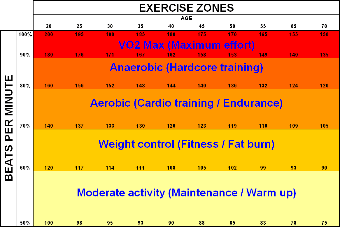 Training Zones - các vùng nhịp tim khi chạy bộ