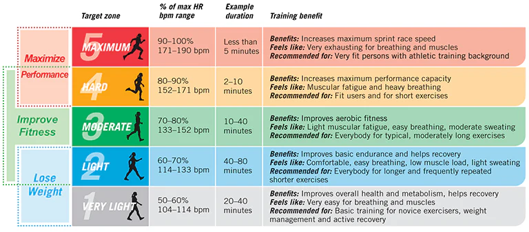 heart rate zones