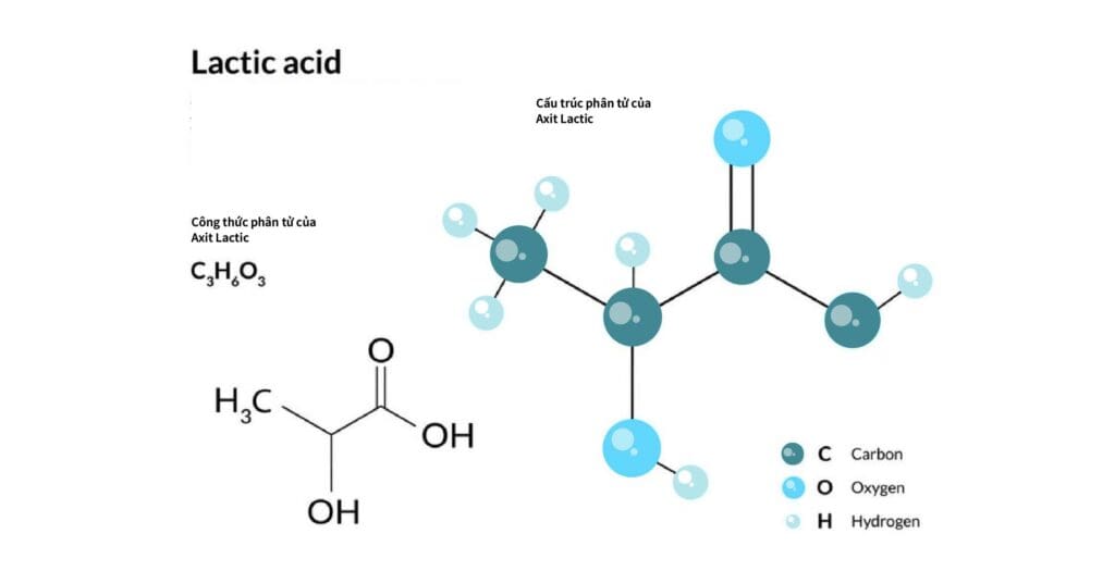 lactic acid