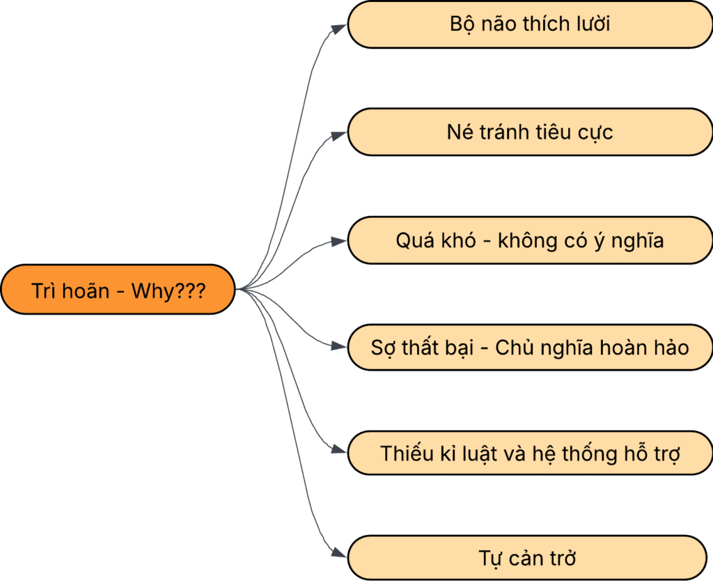 nguyen nhan tri hoan